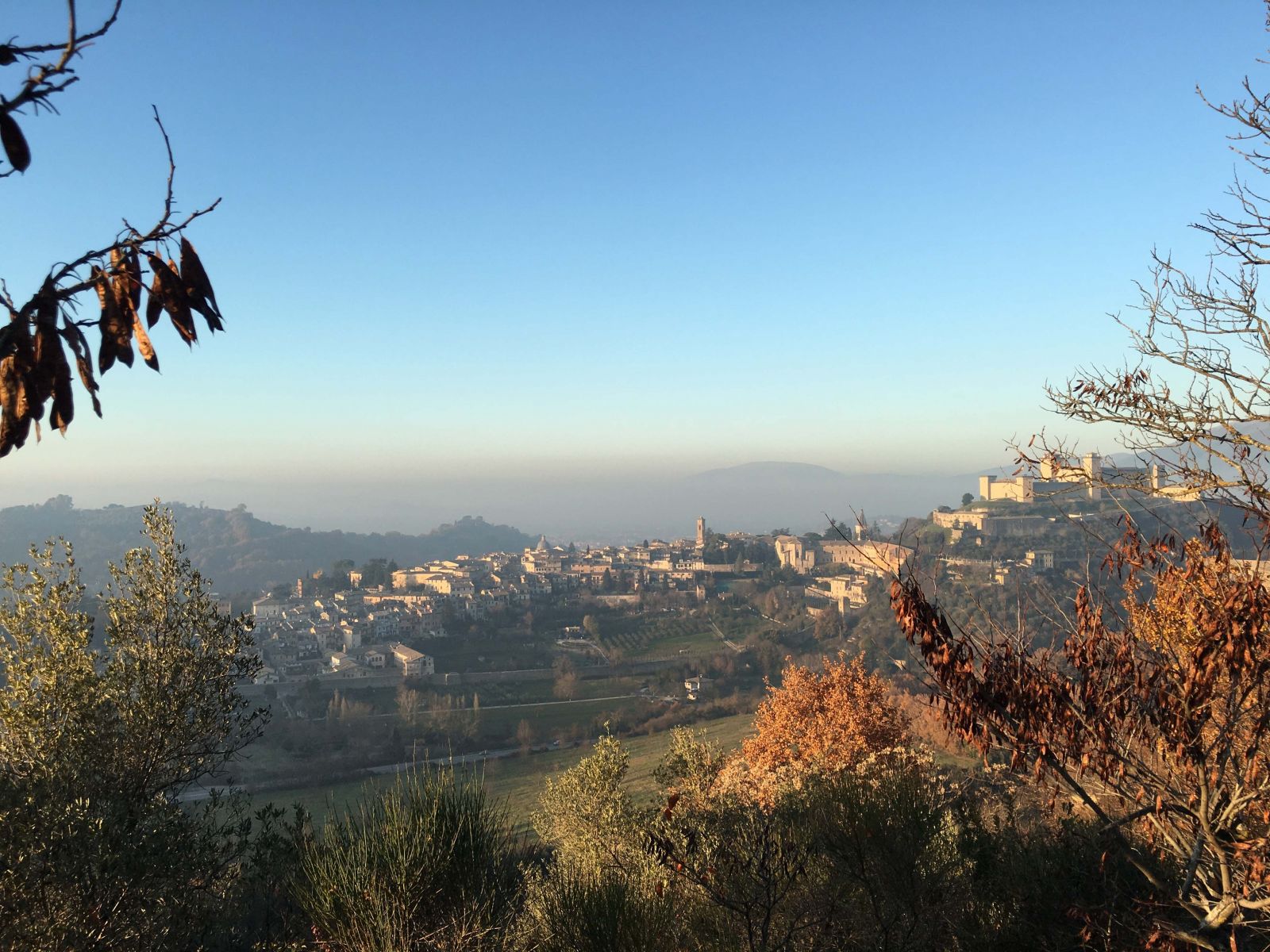 More fine views!
